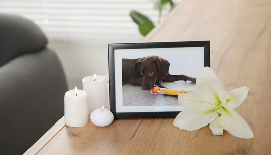Why does holding a tactile tribute help so much with pet loss grief?