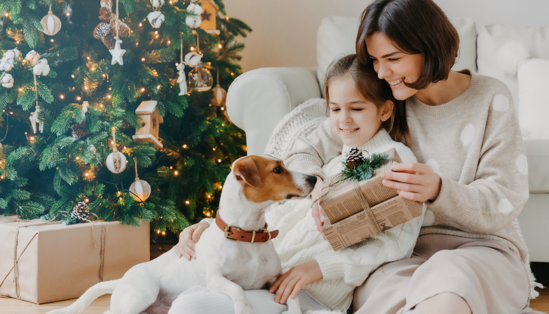 Why are needle-felted portraits the ultimate gift for dog moms?